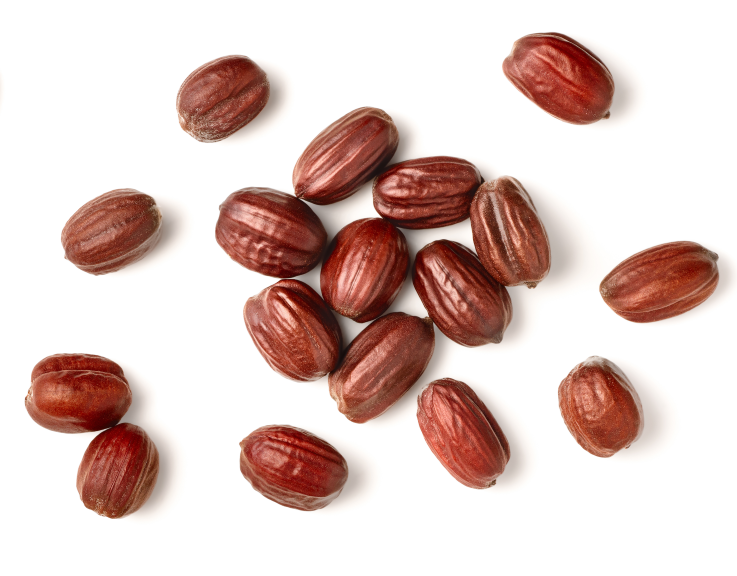 Jojoba Seed Oil